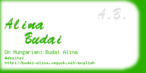 alina budai business card